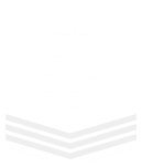 Top software developers